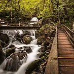 P&t 6 Altenhof (Rohrbach)